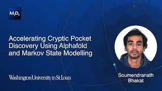 Accelerating Cryptic Pocket Discovery Using Alphafold and Markov State Modelling
