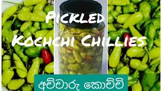 Pickled Kochchi Chillies (Hot Chillies) ~ අච්චාරු කොච්චි ~ Episode 18