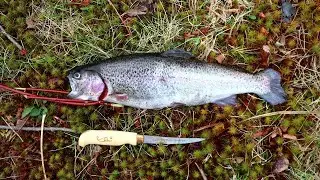 Spring 2021Trout fishing Squannacook River Townsend Massachusetts