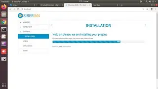 I Will Do Siberian CMS Install Into Linux