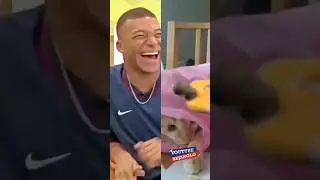 Mbappe reacts to Neymar rolling over cat