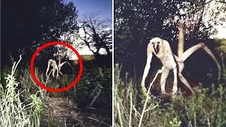 100 Unsolved Mysteries That Cannot Be Explained | Compilationn