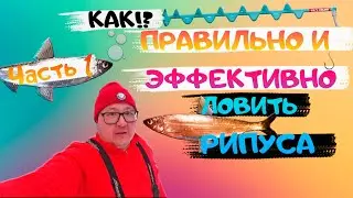 Fishing for vendace in Uvildy. How to catch vendace. Fishing for vendace. Uvildy vendace. Fishing...