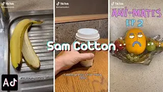 Ani-mator | Sam Cotton Compilation | Awesome TikTokers