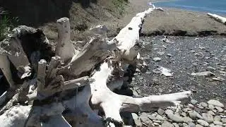 Прогулка на берег моря, Татарский пролив 2022 г. ( извиняйте за звук )