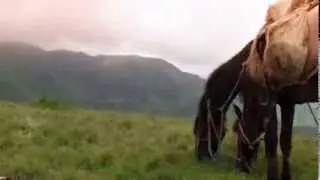 Летом в горах