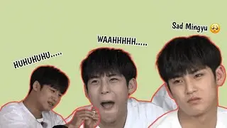 Mingyu Funny Moments 😎