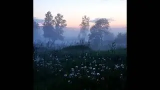 (FREE) lil peep type beat 