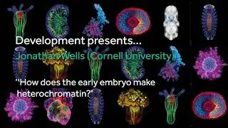 Development presents... Jonathan Wells