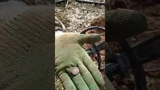 МОНЕТКА на Немецких Позициях  #metaldetecting #коп #history