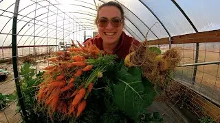 Harvesting Carrots & Cultivating the Gardener | Winter Garden & Greenhouse Tour