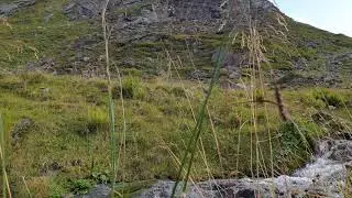 Mur-Ursprung