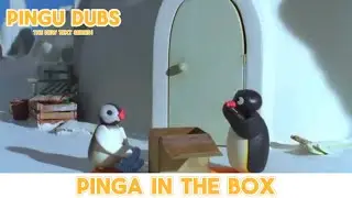 Pingu Dubs || Season 1 || Pinga in the box