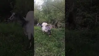 1 МАЯ!