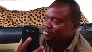 Я тут немного в тени полежу, ок?