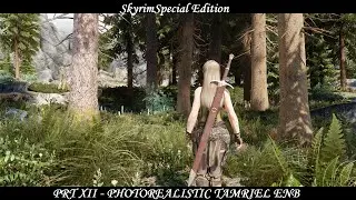 Skyrim SE - PRT XII - PhotoRealistic Tamriel ENB (Updated Showcase)