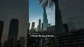 Dubai Burj Khalifa View #burjkhalifa #dubai #tranding #tranding #viral