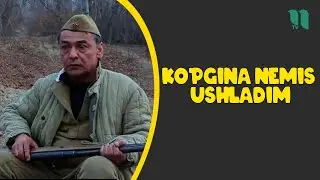 Partizan mushuklar | G'ayrat Ahmedov