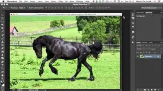 10 Ways to Make Photoshop Run Faster on Your Machine