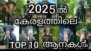 Top 10 elephants in kerala 2025 malayalam | കാളിയുടെയും ശിവരാജുവിന്റെയും അഴിഞ്ഞാട്ടം |