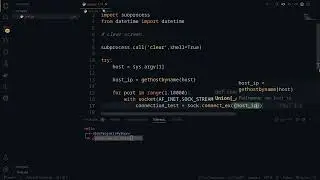 Python Port Scanner
