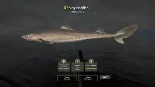 Russian Fishing 4 New Main Account Capt. Santiago Part 33 Sea Trip Part 2