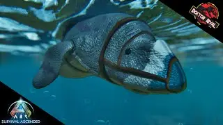 DUGONG || Oceania Content || Ark Survival Ascended