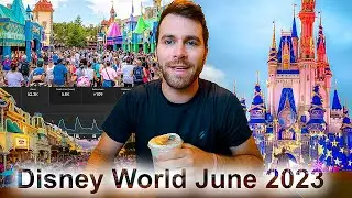 Everything You Need To Know For The Month Of July At Disney: Talking YouTube Analytics, Po Unboxing