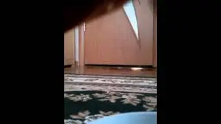 VID 20150125 143731