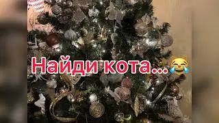1,2,3….Ёлочка гори!!! Вот кто включает Ёлку!!! #найдикота #приколысживотными #смешныекоты #кошки
