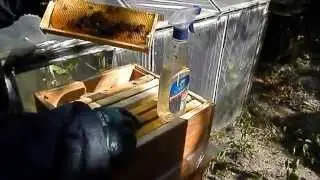Улей удав осушка маломедных  рамок