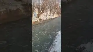 -19 Шаахритус