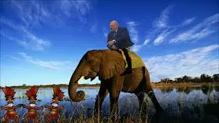 Лукашенко на слоне