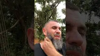 Доминикана / Обращение комарам / Dominican Channel