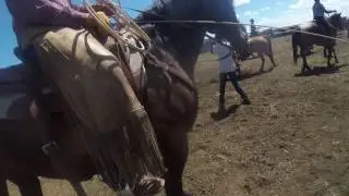 Snowy Owl Ranch Branding (clip3/4)