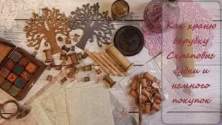 2/2024 Влог Хранение вырубки  и разное /скраповые будни