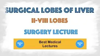 Couinaud classification | Surgical and Anatomical Segments/ Lobes of liver : (8 Lobes of Liver)
