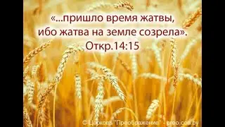 Снятие проклятия
