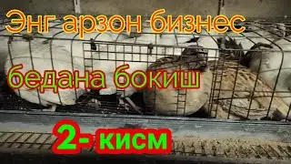 UY SHAROITIDA BIZNES BOSHLASH OYIGA 4 000 $