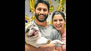 samantha request post