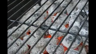 Walmart's Expert Grill Portable Charcoal Grill 