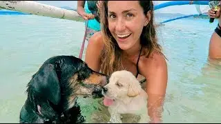 SWIMMING WITH PUPPIES IN THE PHILIPPINES