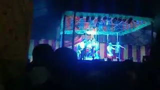 💃💃💃💃