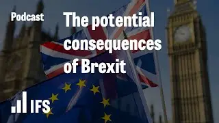 The potential consequences of Brexit | IFS Zooms In