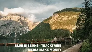 Blue Ribbons TrackTribe / Media Make Money