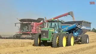HARVESTING WHEAT Double Cropping Soybeans