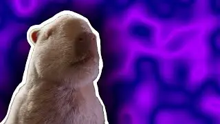 ✨𝙋𝙀𝘼𝙆 ✨