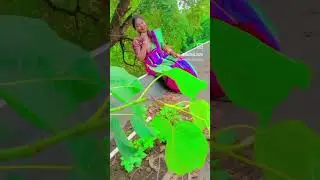 Etang luti re muluch Landa#newsanthalihdvideo2024