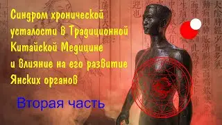 Синдром хронической усталости в ТКМ часть 2   влияние янских органов на развитие заболевания