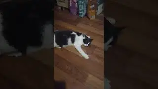 Филя наркоман
